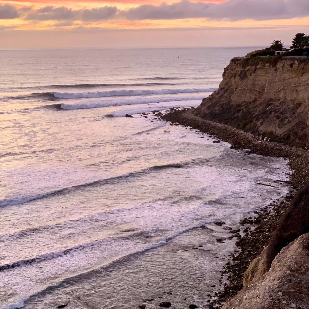 Brandy Melville, Patagonia, Nordstrom